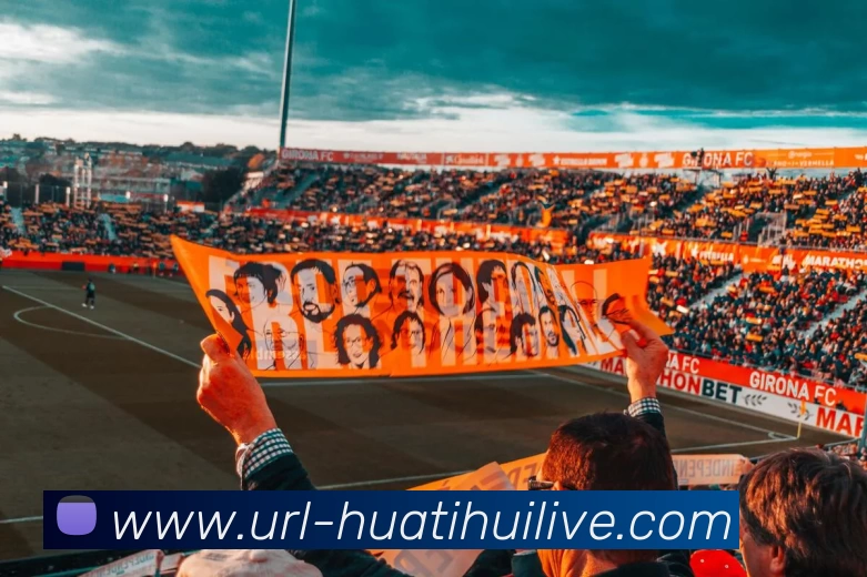 华体会体育平台生态图