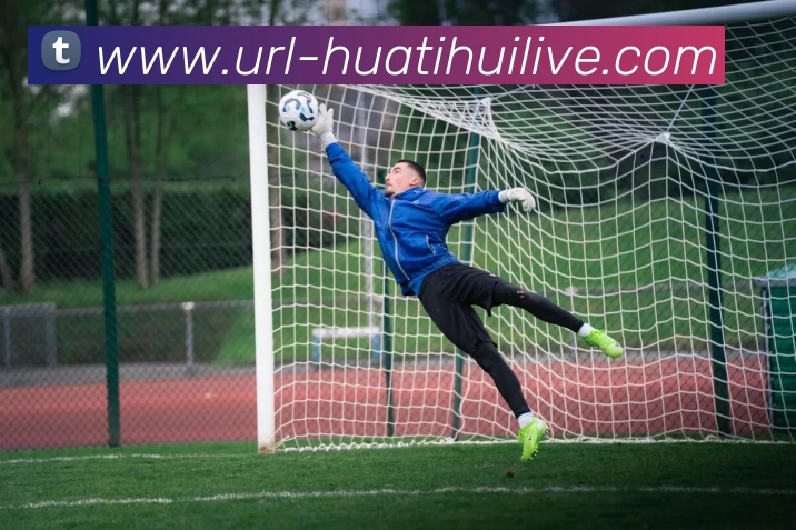 华体会体育全站App